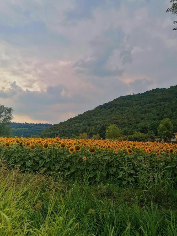 Ca' Dei Berici - Residence Ad Arcugnano Grancare Εξωτερικό φωτογραφία